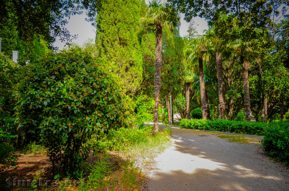 Вечнозеленый парк в Симеизе