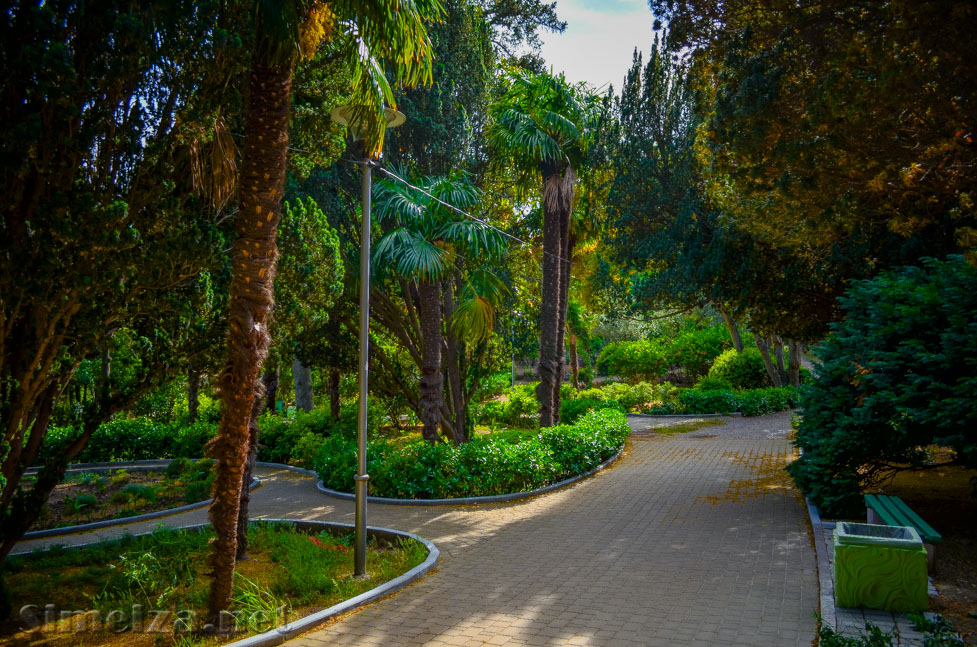 Пальмовая аллея в парке Симеиза